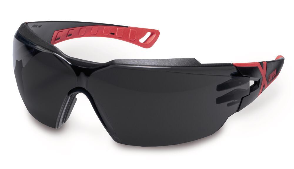 uvex pheos cx2 safety glasses, IR 5, EN 166, EN 169, EN 171, 1 unit(s) - Luminix Health