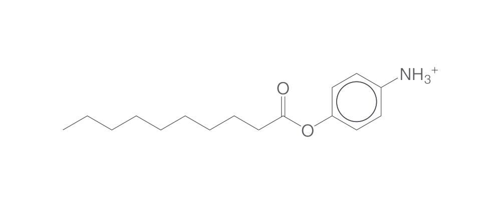4-Nitrophenyl decanoate, 500 mg - Luminix Health