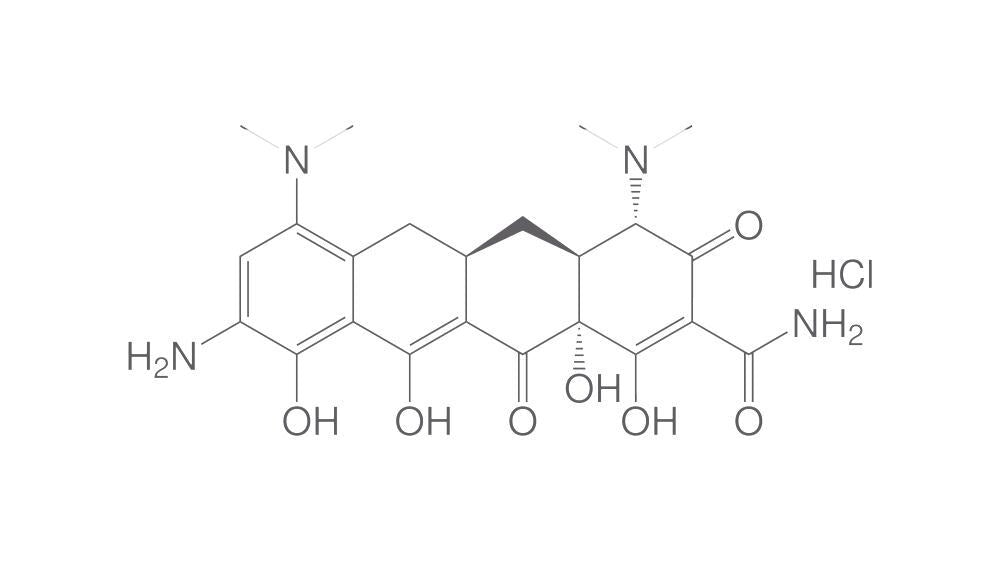 9-Aminominocycline hydrochloride, min. 80 %, 5 g - Luminix Health