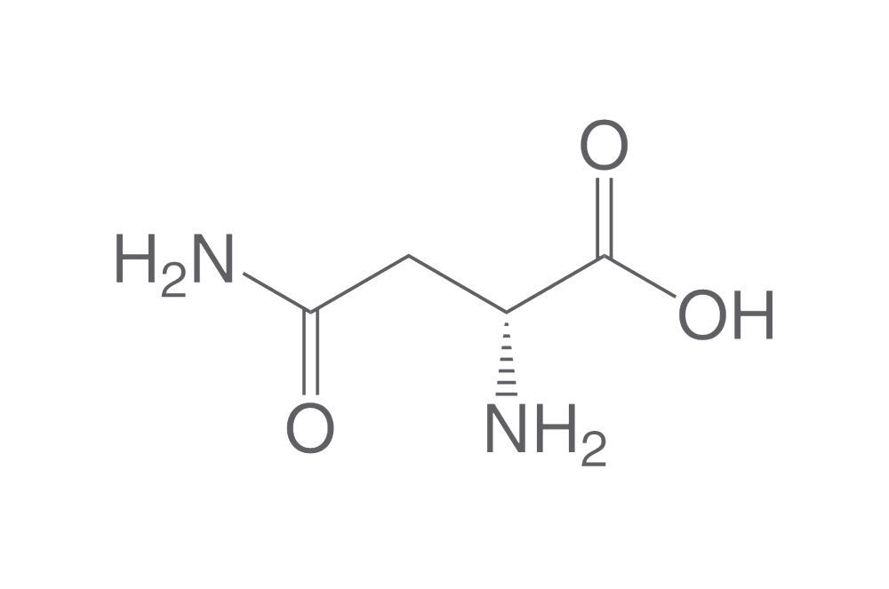 D-Asparagine, min. 95 %, 50 g - Luminix Health