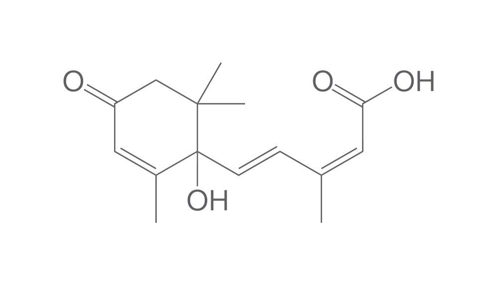 (±)-Abscisic acid, min. 95 %, 50 mg - Luminix Health