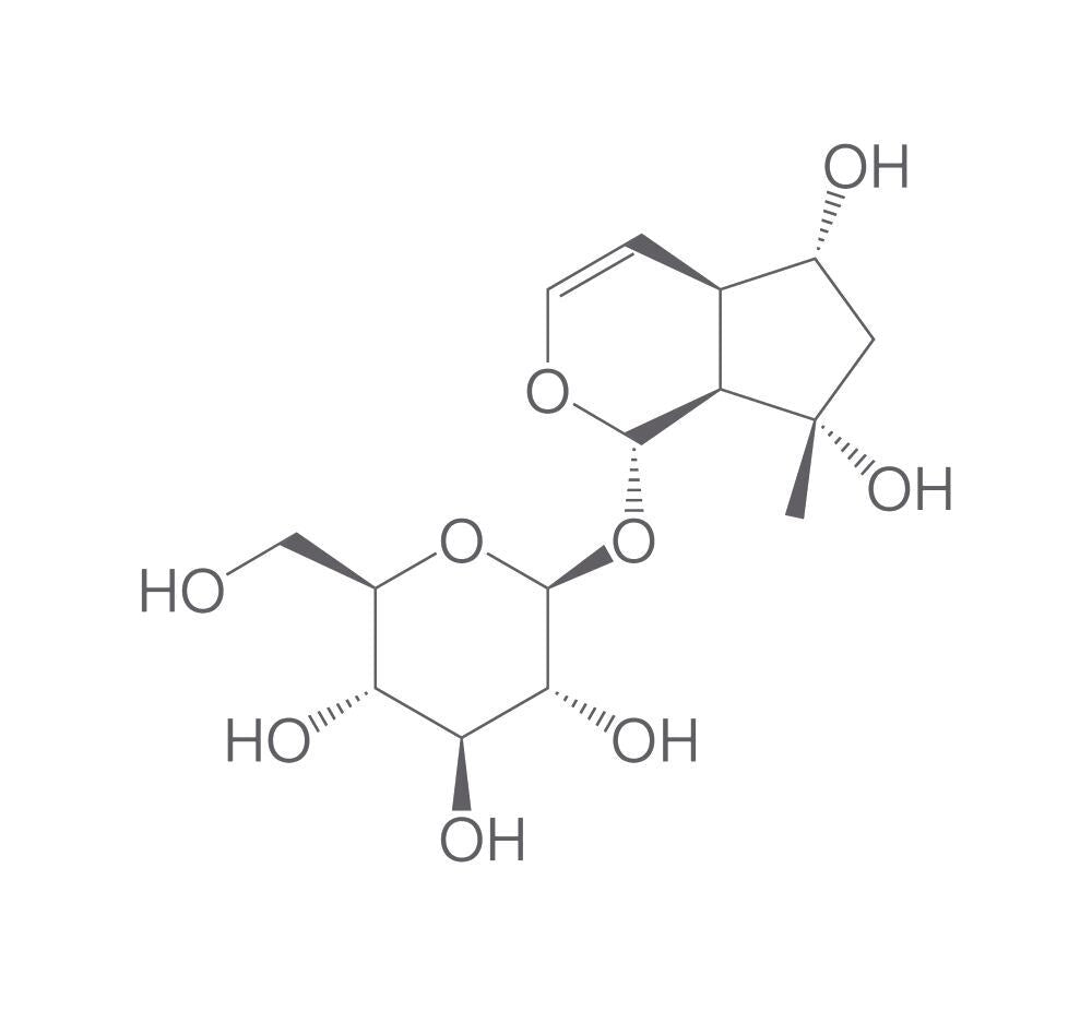 Ajugol, 5 mg - Luminix Health