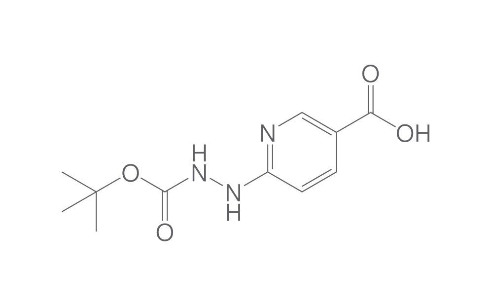 Image of 6-Boc-hydrazinonicotinicacid