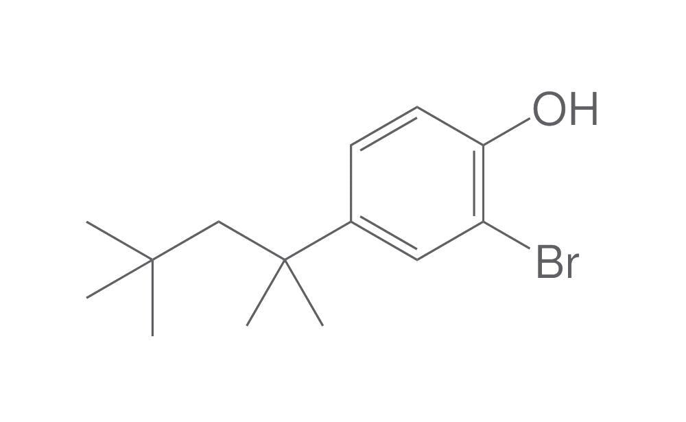2-Bromo-4-tert-octylphenol, 10 g - Luminix Health