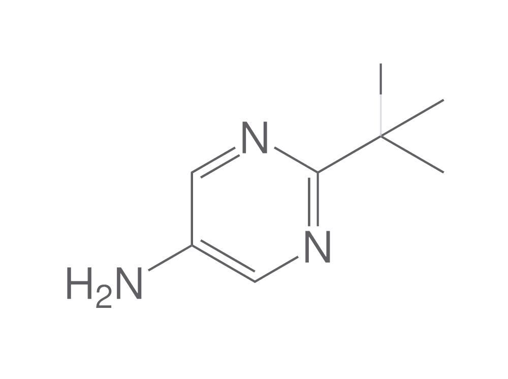 Image of 2-tert-Butyl-5-aminopyrimidine