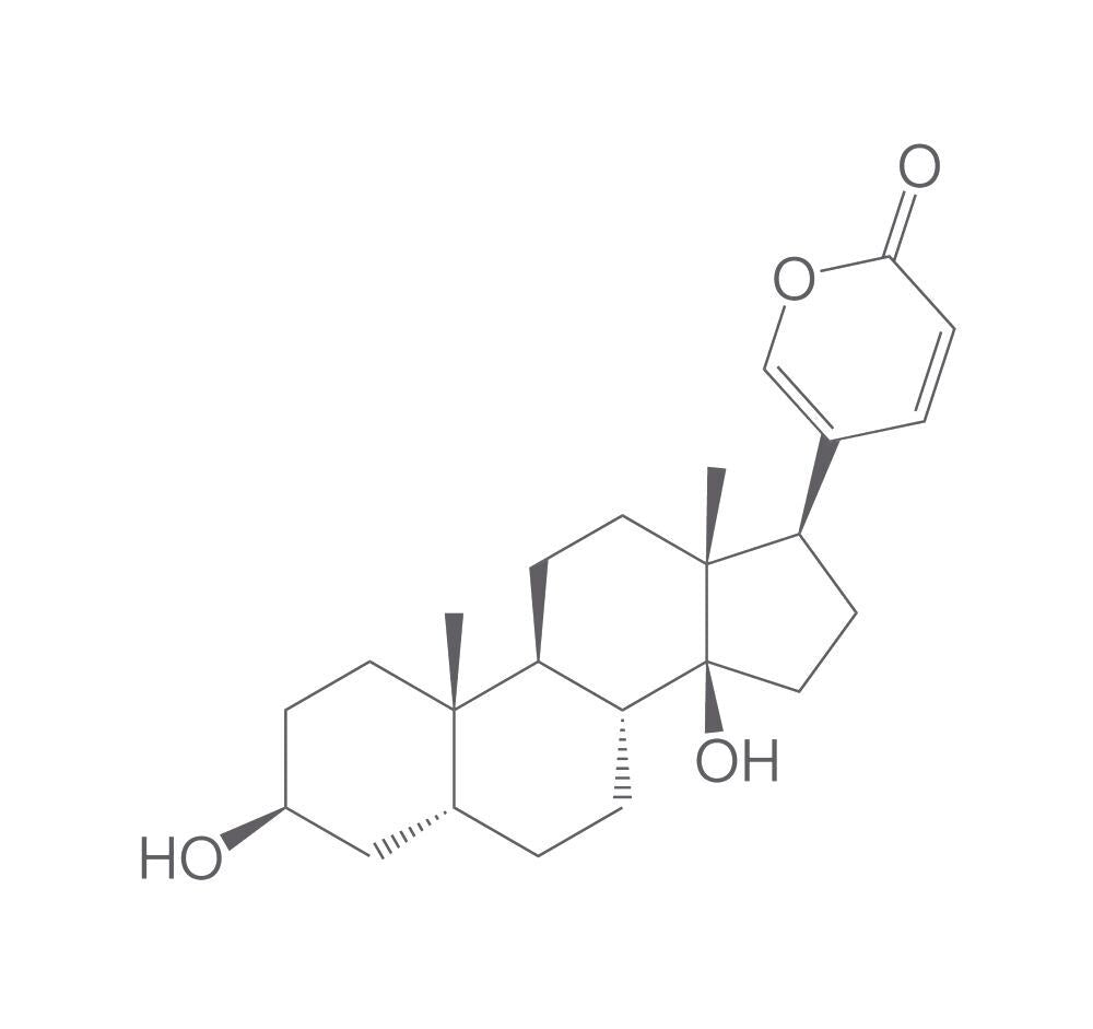 Bufalin, min. 95 %, 25 mg - Luminix Health