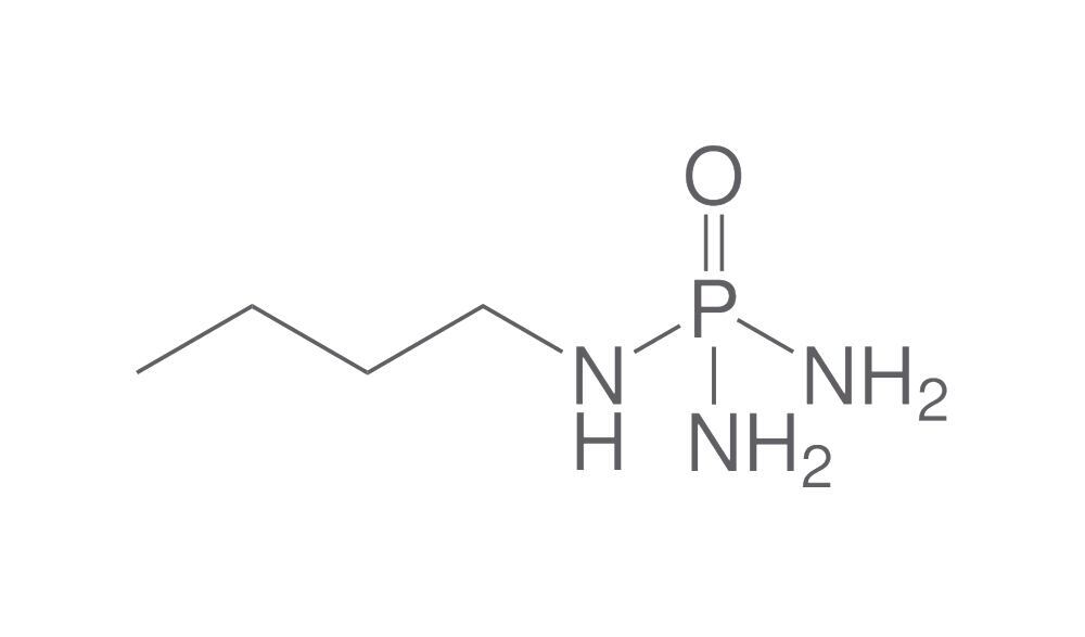 N-(n-Butyl)phosphoric triamide, 25 mg - Luminix Health