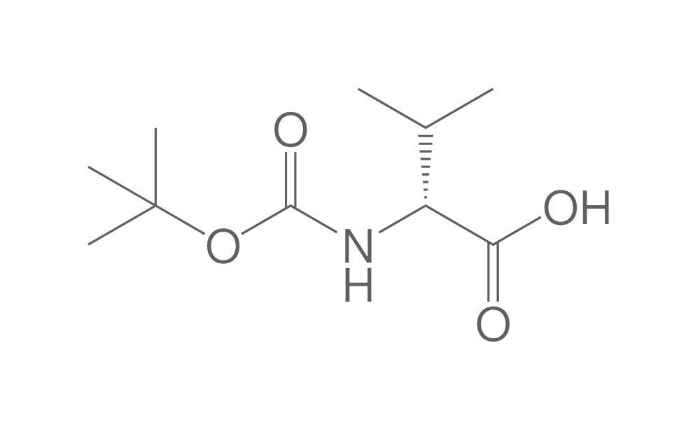 Boc-D-Val-OH, 25 g - Luminix Health