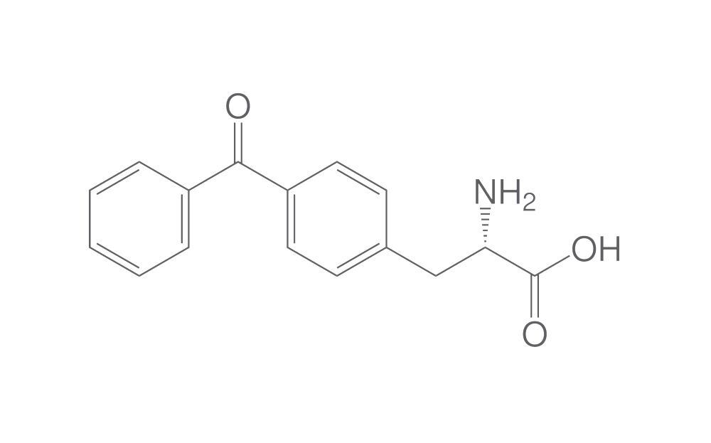 4-Benzoyl-L-phenylalanine, 2.5 g - Luminix Health