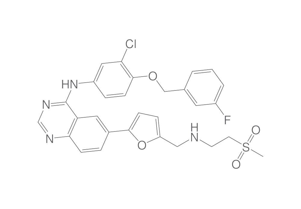 Lapatinib, min. 95 %, 500 mg - Luminix Health