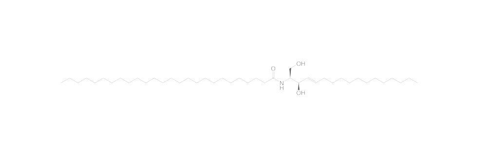 C26-Ceramide, min. 95 %, 5 mg - Luminix Health