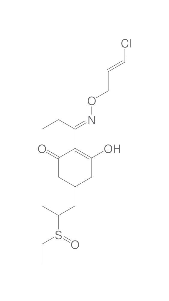 Clethodim sulfoxide, min. 95 %, 2 mg - Luminix Health
