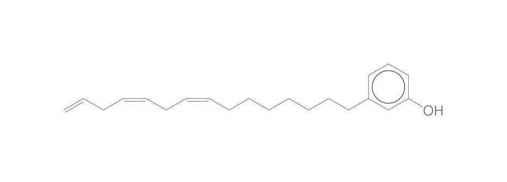 Cardanol, 100 g - Luminix Health