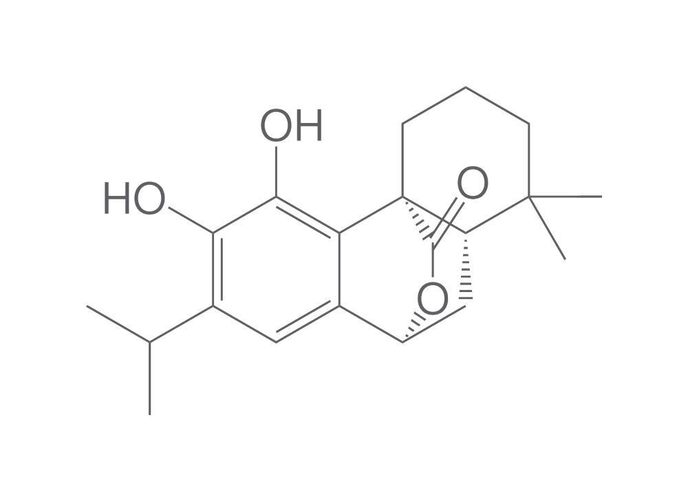 Carnosol, min. 95 %, 25 mg - Luminix Health