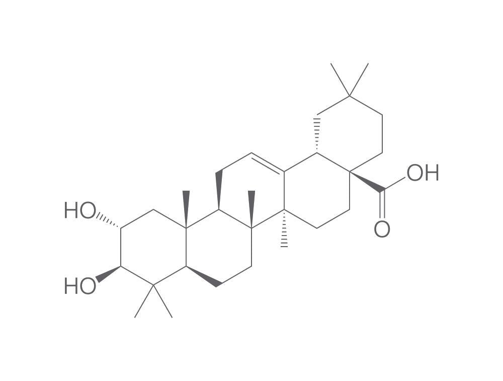 Maslinic acid, min. 95 %, 25 mg - Luminix Health