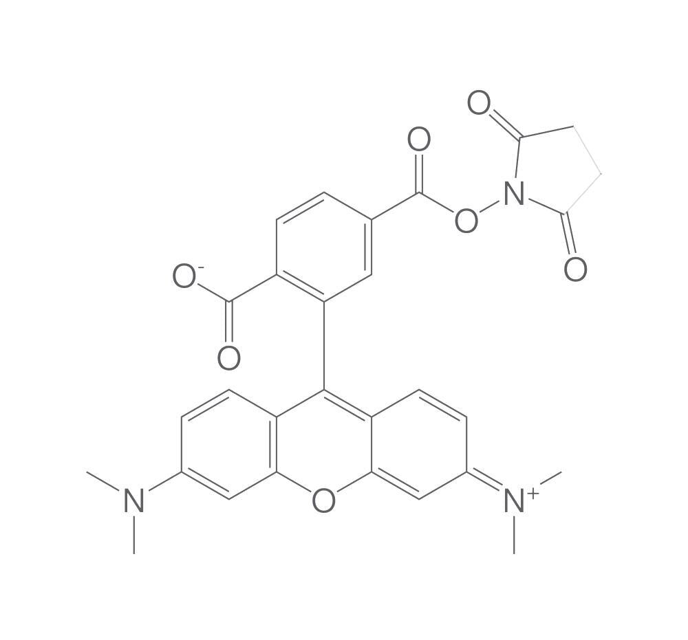 6-Carboxytetramethylrhodamine succinimid, yl ester, 50 mg - Luminix Health
