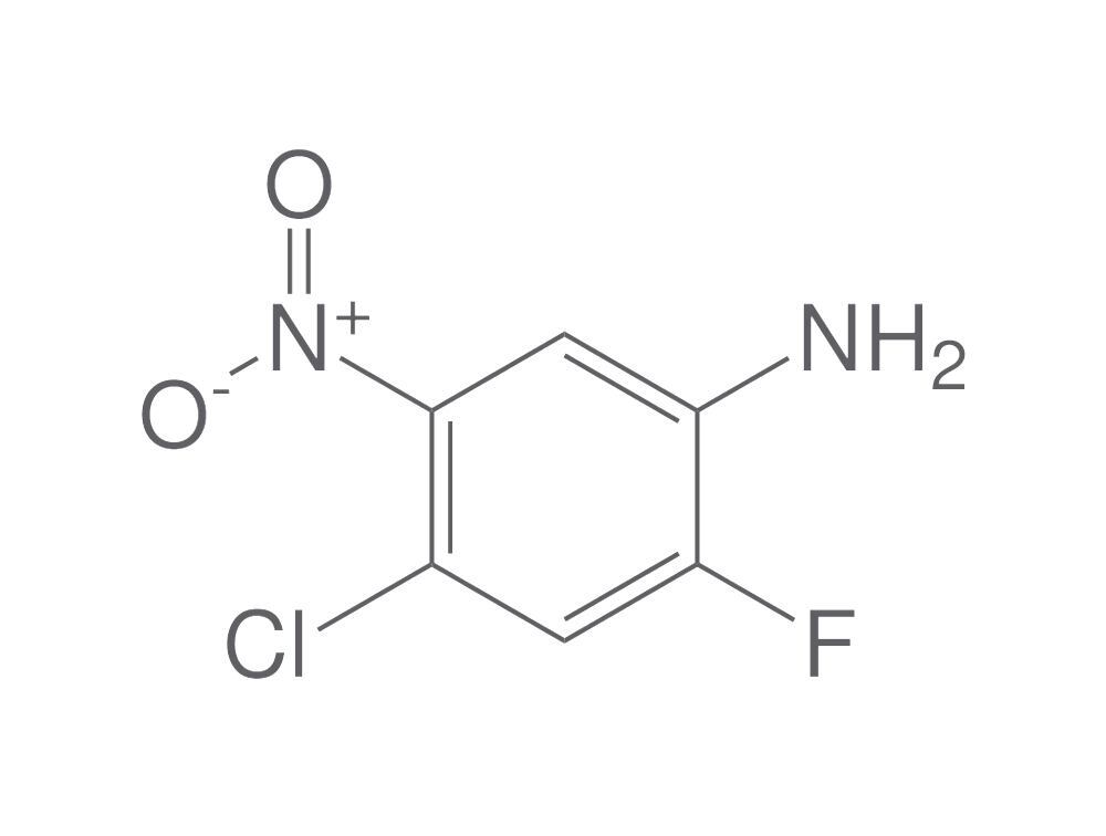 4-Chloro-2-fluoro-5-nitroaniline, min. 95 %, 1 g - Luminix Health