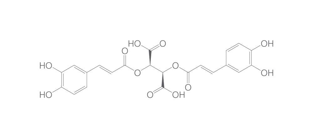 Chicoric acid, min. 95 %, 25 mg - Luminix Health