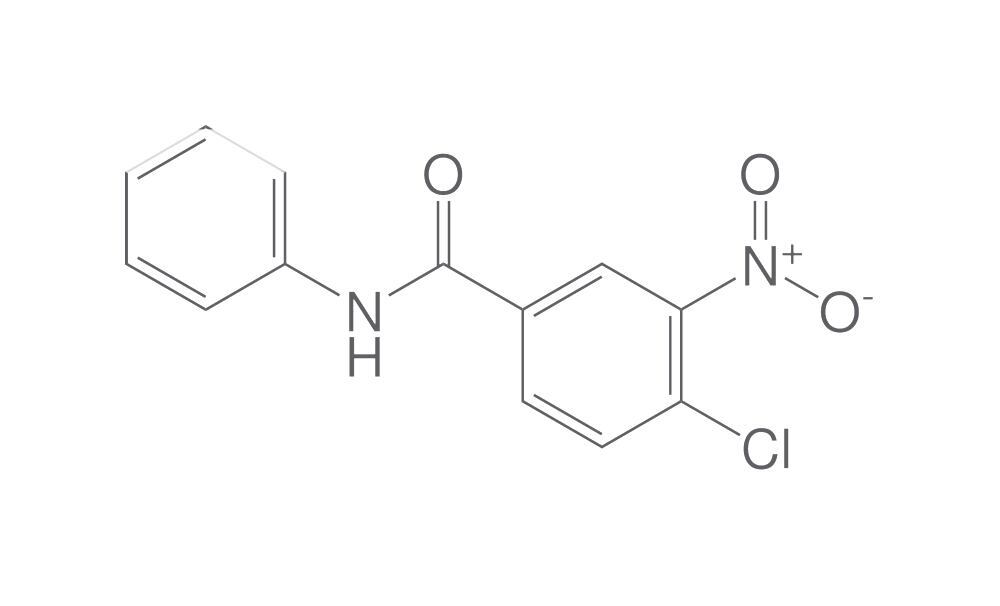 4-Chloro-3-nitrobenzanilide, min. 95 %, 2 g - Luminix Health