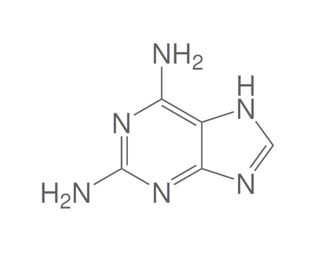 2,6-Diaminopurine, min. 95 %, 100 g - Luminix Health