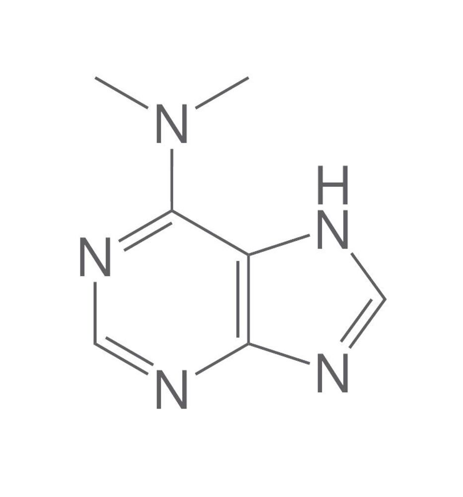 Image of 6-(Dimethylamino)purine
