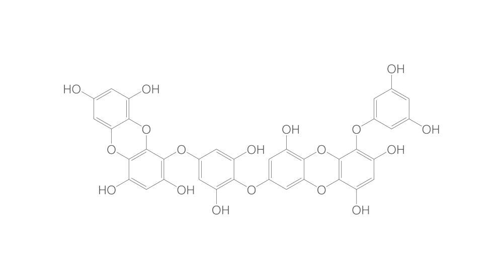 Dieckol, min. 95 %, 2 mg - Luminix Health