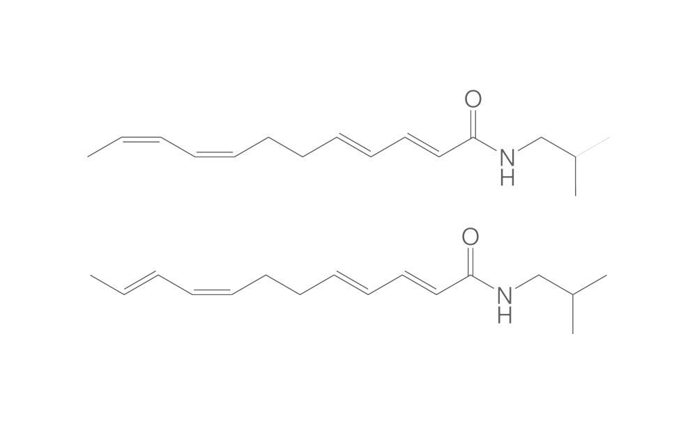 Dodeca 2E,4E,8Z,10E,Z-tetraenoic acid is, obutylamide, 1 mg - Luminix Health