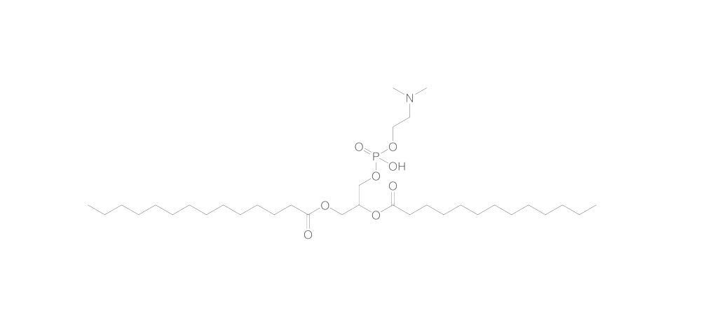 Image of 1,2-Dimyristoyl-rac-glycero-3-phospho-N,