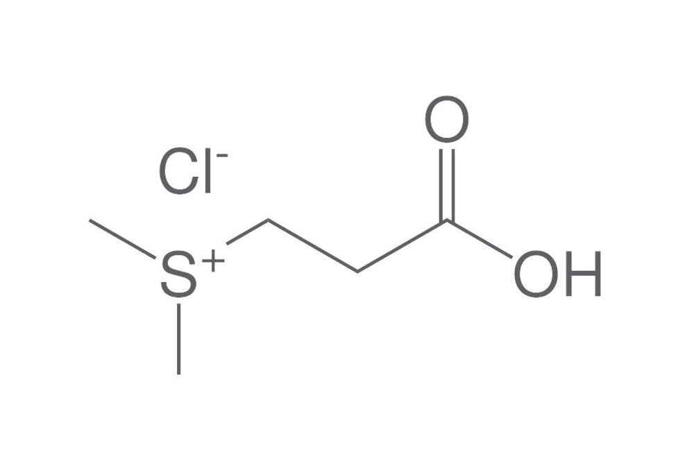 Dimethylpropiothetin hydrochloride, min. 95 %, 500 g - Luminix Health