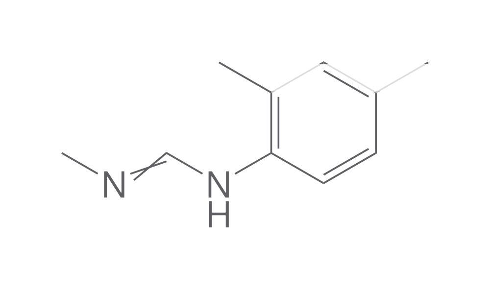 N'-(2,4-Dimethylphenyl)-N-methylformamid, e, 25 mg - Luminix Health