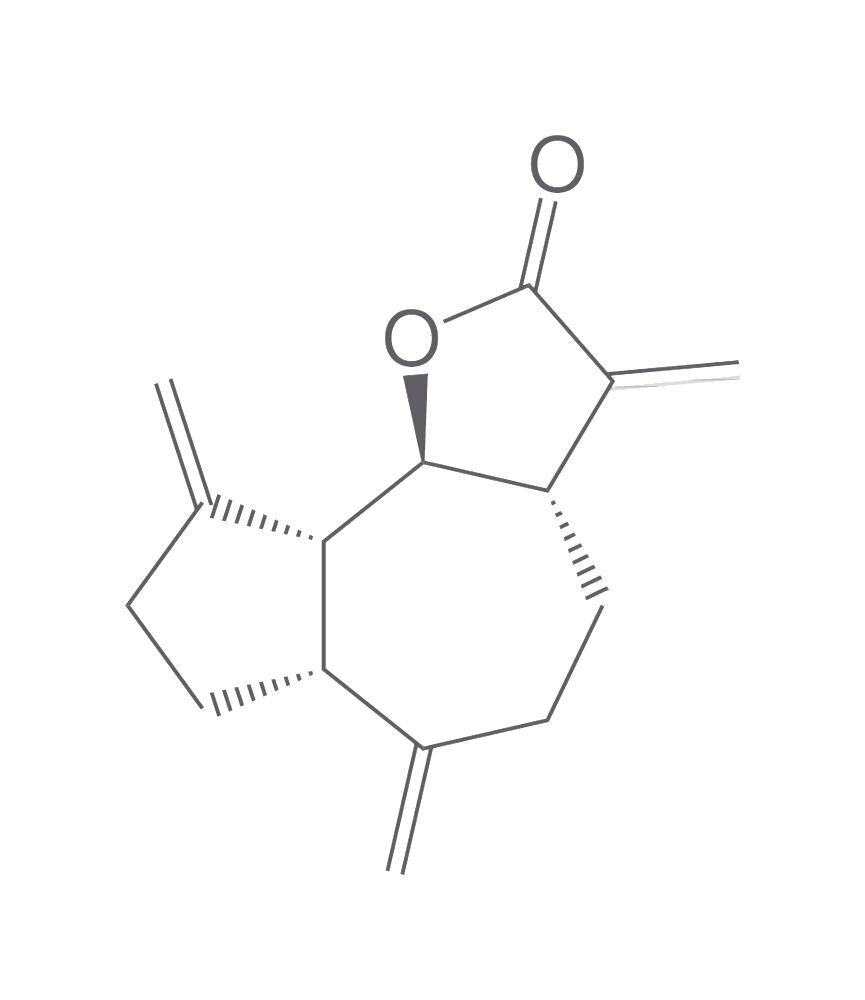 Dehydrocostus lactone, min. 95 %, 100 mg - Luminix Health