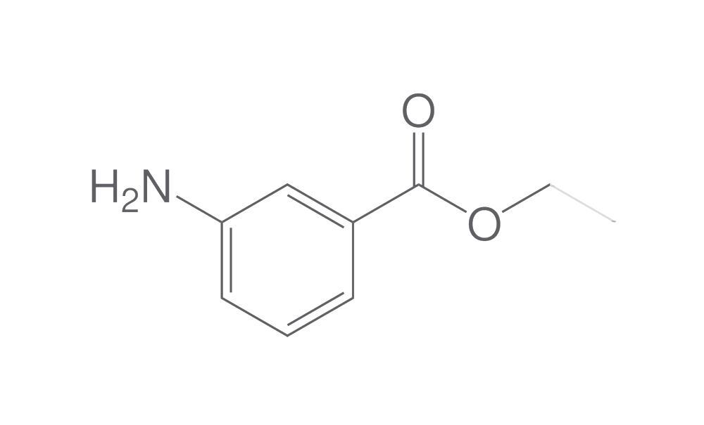 Ethyl 3-aminobenzoate, min. 95 %, 250 g - Luminix Health