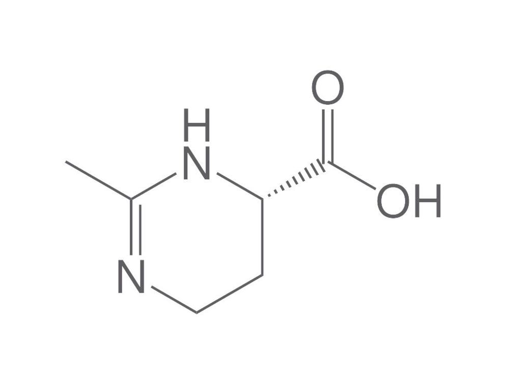 Ectoine, 50 g - Luminix Health