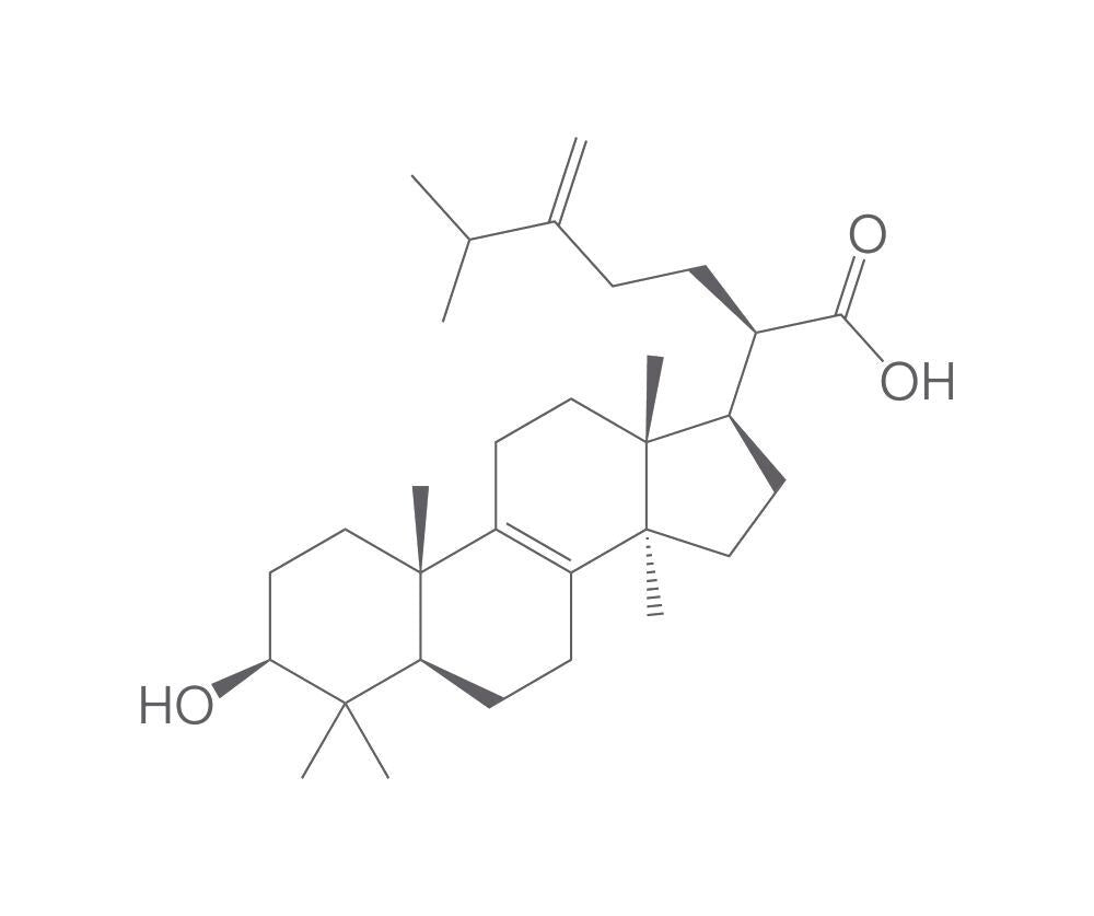 Eburicoic acid, min. 95 %, 2 mg - Luminix Health