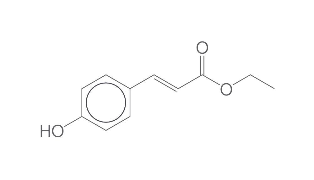 Ethyl 4-coumarate, min. 95 %, 500 mg - Luminix Health