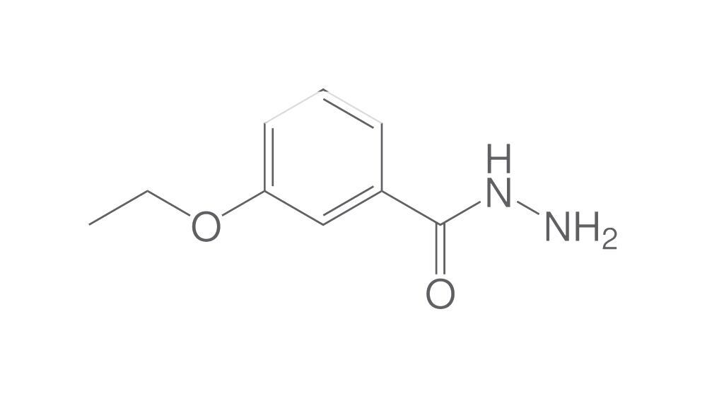 3-Ethoxybenzhydrazide, min. 95 %, 25 g - Luminix Health