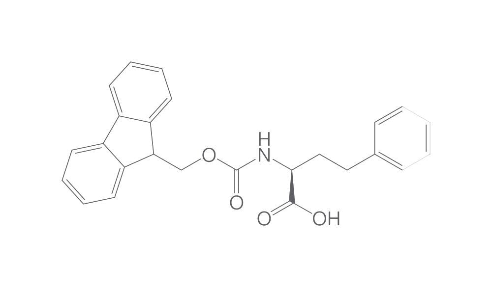 Fmoc-L-homophenylalanine, min. 90 %, 25 g - Luminix Health