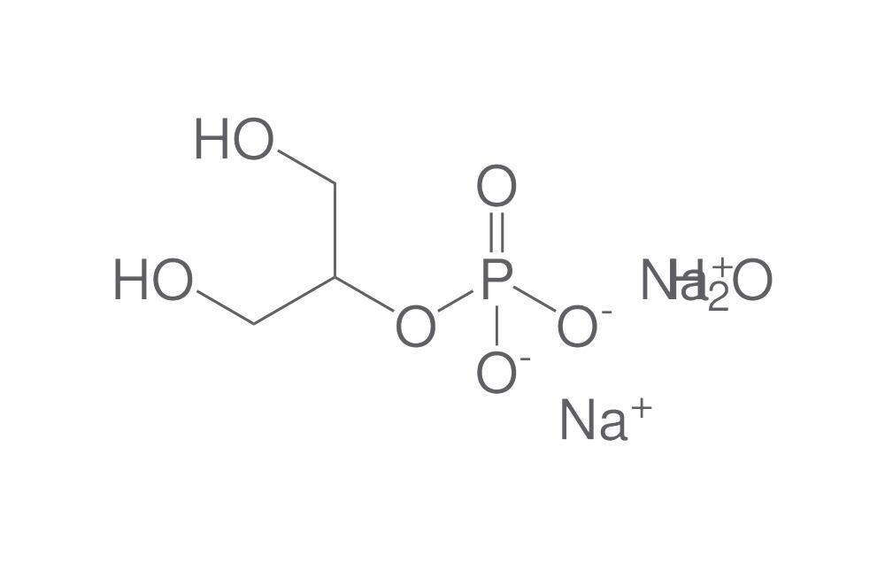 Glycerophosphoric acid disodium salt hyd, rate, 250 g - Luminix Health