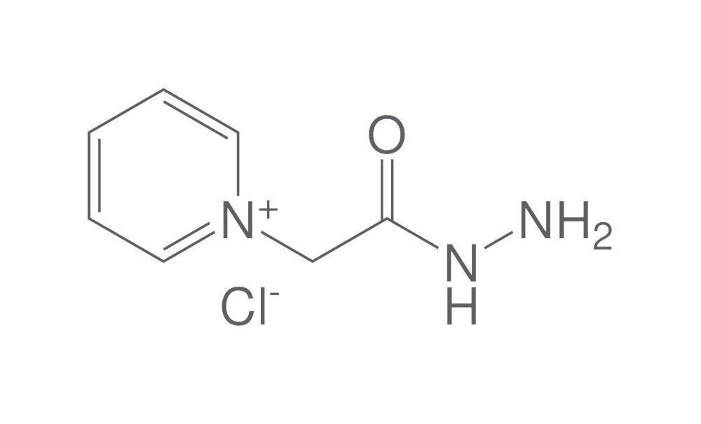 Girard's reagent P, min. 95 %, 10 g - Luminix Health