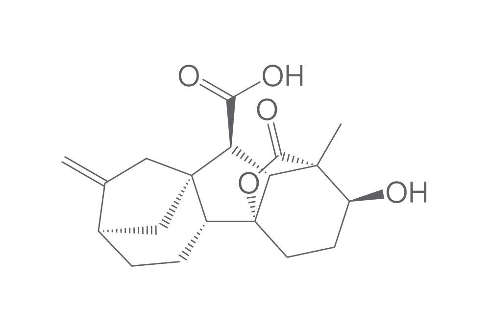 Gibberellic acid A4, 10 g - Luminix Health
