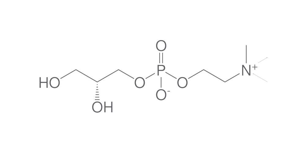 L-a-Glycerophosphorylcholine, min. 95 %, 50 g - Luminix Health