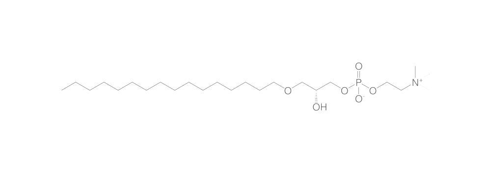 Image of 1-O-Hexadecyl-sn-glycero-3-phosphocholin