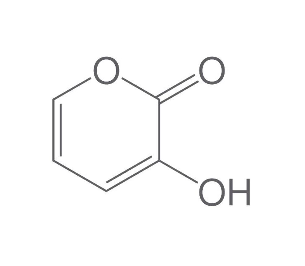 Image of 3-Hydroxy-2H-pyran-2-one