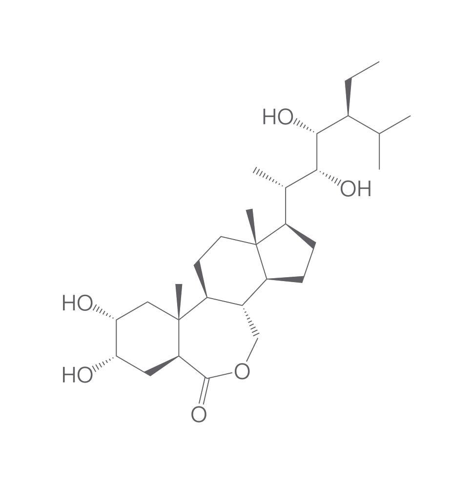 Homobrassinolide, min. 95 %, 100 mg - Luminix Health