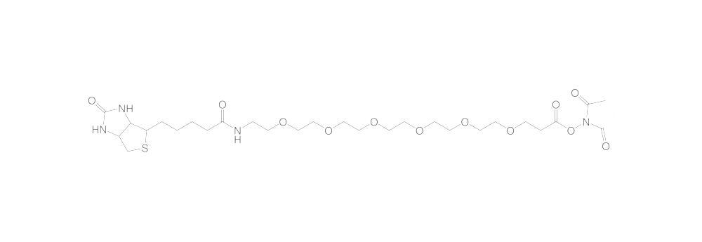 Biotin-PEG6-NHS ester, min. 95 %, 50 mg - Luminix Health