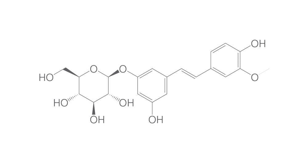 Isorhapontin, min. 95 %, 5 mg - Luminix Health