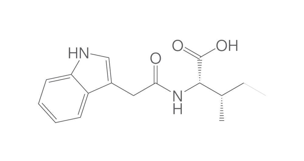 Indole-3-acetyl-L-isoleucine, 500 mg - Luminix Health