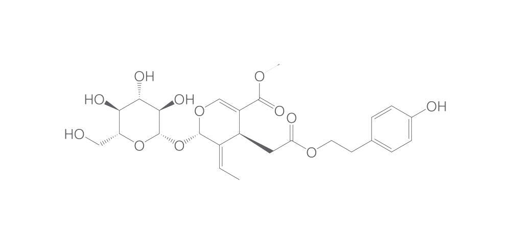 Ligustroside, 1 mg - Luminix Health