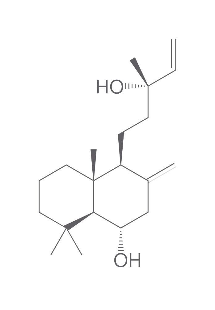 Larixol, min. 95 %, 10 mg - Luminix Health
