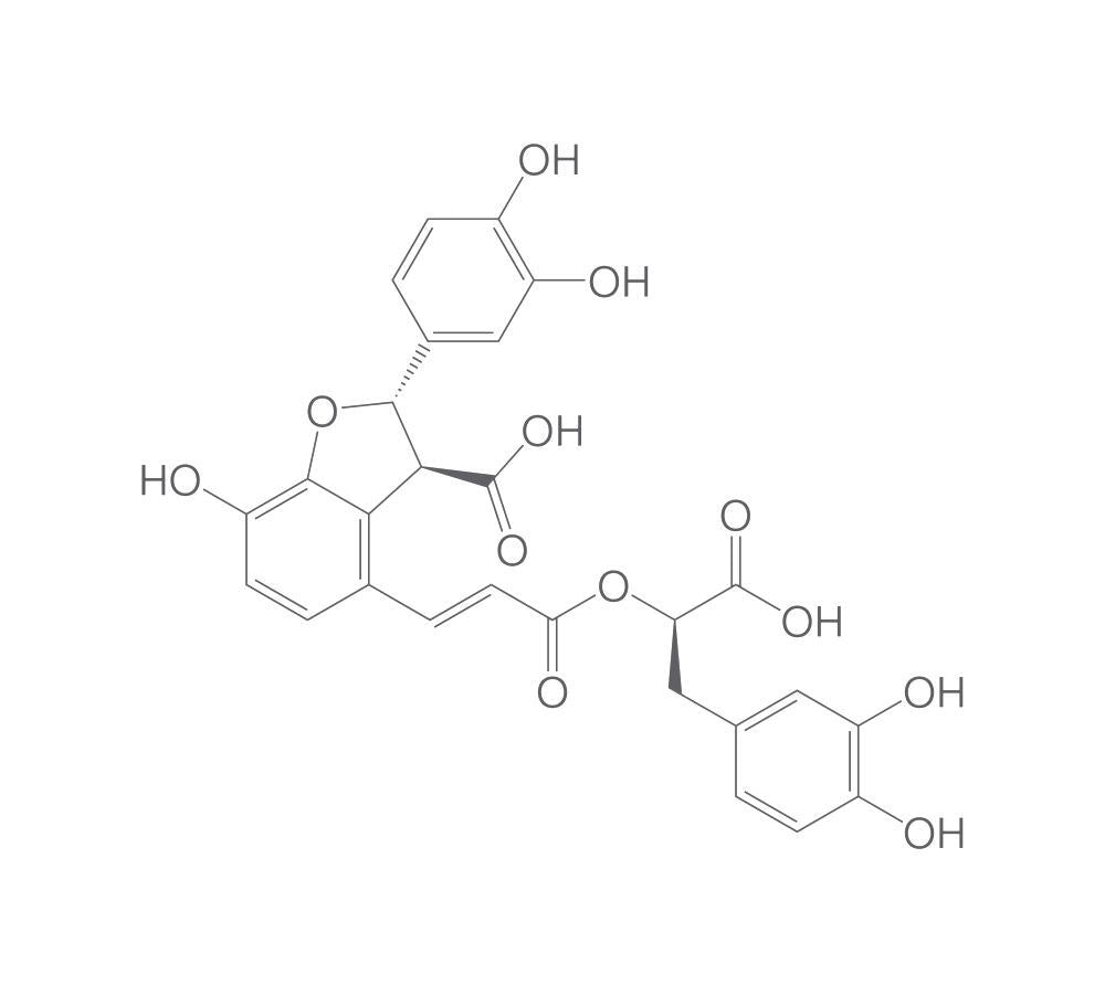 Lithospermic acid, min. 95 %, 5 mg - Luminix Health